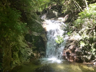 P1100298.jpg (122.15 KiB) 閲覧された回数 9474 回 左俣大滝