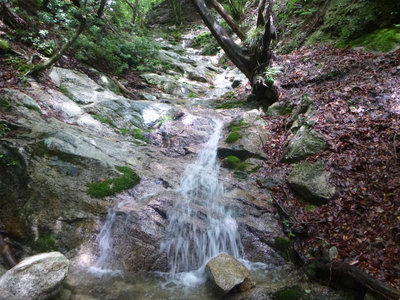 P1100280.jpg (143.63 KiB) 閲覧された回数 9474 回 左俣の長いナメ滝