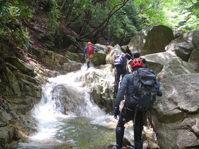 P1100246.jpg (123.03 KiB) 閲覧された回数 9474 回 思い思いに歩く