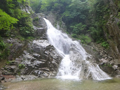 P1100216.jpg (111.87 KiB) 閲覧された回数 9474 回 元越大滝