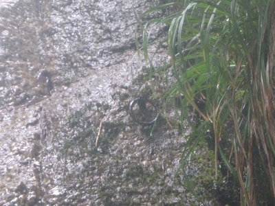 P1100332.jpg (94.39 KiB) 閲覧された回数 9000 回 残置のリングボルト