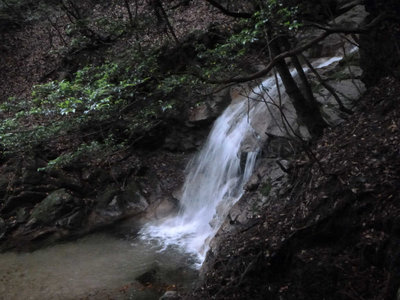 P1100319.jpg (83.4 KiB) 閲覧された回数 9000 回 白滝前衛の6m滝