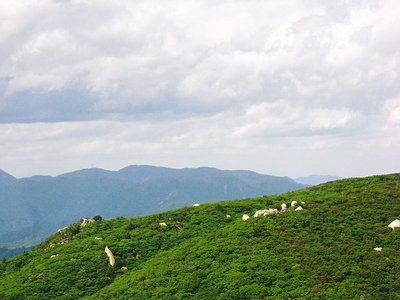 ● 桃ちゃん岩が丸い頭を覗かせてるよ