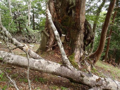 このレポは読んでくれた？