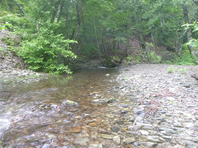 P1100604.jpg (133.73 KiB) 閲覧された回数 5139 回 ハカノ谷出会い