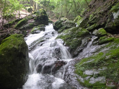 P1100582.jpg (106.86 KiB) 閲覧された回数 5142 回 こんな斜滝が多い