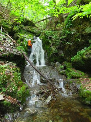 ハカノ谷の唯一の滝らしい滝(悪場)。