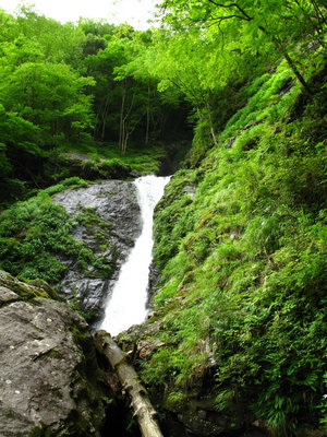 IMG_0012.jpg (845.71 KiB) 閲覧された回数 8563 回 一ノ滝