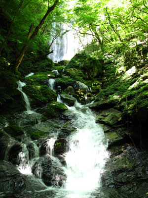 IMG_0028.jpg (714.84 KiB) 閲覧された回数 8009 回 三ノ滝