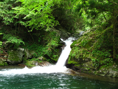 豊かな渓