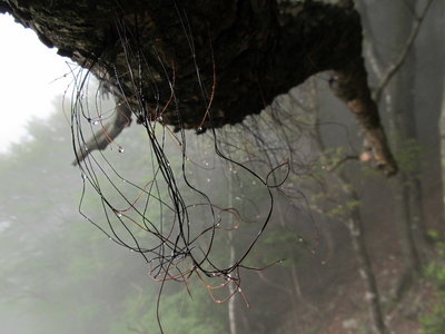 水滴を集めましょう。