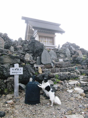 IMG_2431.JPG (130.03 KiB) 閲覧された回数 7654 回 神頼みですワン