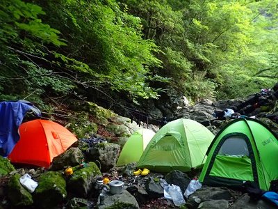 何とか収まりました