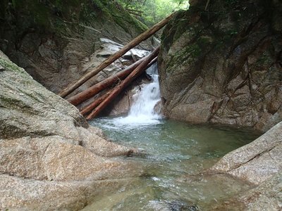 resizeP8020053.jpg (304.79 KiB) 閲覧された回数 8847 回 この程度でも素人には無理・・・