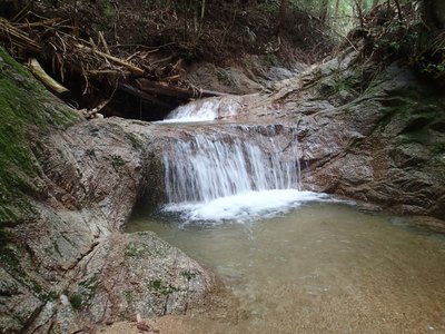 resizeP8020071.jpg (305.43 KiB) 閲覧された回数 8845 回 この後暫くは本当の平流が続く