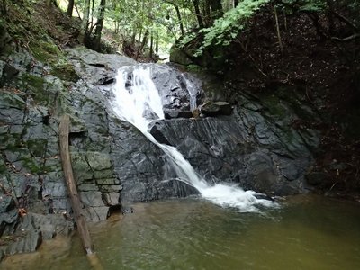 resizeP8140177.jpg (193.27 KiB) 閲覧された回数 4020 回 北畑川 一の滝