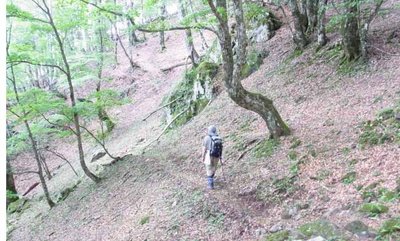 二日酔いの相棒