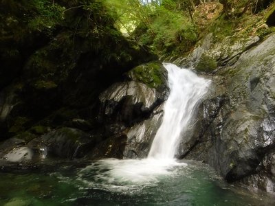 右にルートが読めますか？