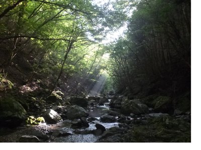 夕日.jpg (973.94 KiB) 閲覧された回数 10729 回 下った木梶川。振り向くと夕日が。朝日のように見えるけど間違いなく夕日が。お疲れでしたと言っている。