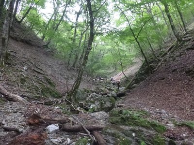 源頭.jpg (1.18 MiB) 閲覧された回数 10270 回 木屋谷源頭部。ボーッとしてると風景に溶け込んでます。