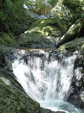 奥に２段１５ｍの滝　その手前の淵