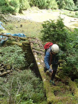 シュークリームさん　いらっしゃ～い♪