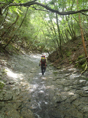 2015_0820_114620-P8200049.jpg (157.37 KiB) 閲覧された回数 7703 回 長いなめを行く(michiさん提供)