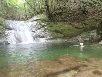 2015_0820_102319-P8200041.jpg (107.22 KiB) 閲覧された回数 7702 回 泳いで遊ぶ(michiさん提供)