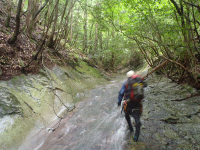 なめを行く（michiさん提供）