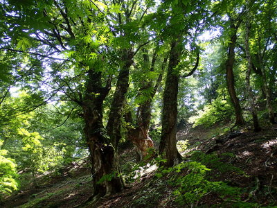 悪いところばかりではありません