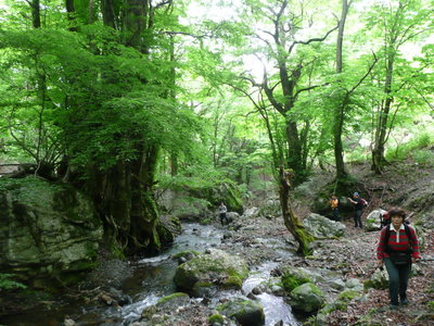 懐かしのワンダーランド