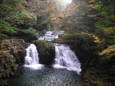 赤目48滝04112150_S.jpg (150.8 KiB) 閲覧された回数 14440 回 赤目の滝 2004/11/21 (名前の記録なし)