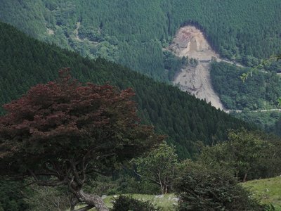 グー泣かせ.jpg (205.82 KiB) 閲覧された回数 4129 回 小さめの重機がせわしなく作業中。林道整備ではなく、治山整備だそう。