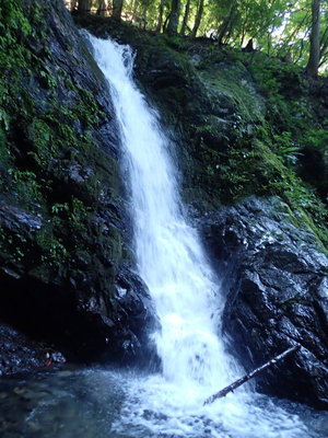 矢問さんはどこを登ったのか