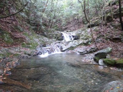 P1010609.jpg (94.25 KiB) 閲覧された回数 5409 回 雰囲気がいい上流部