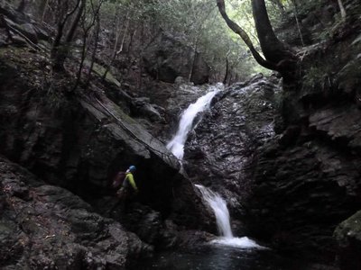 P1010577.jpg (72.57 KiB) 閲覧された回数 5097 回 F1