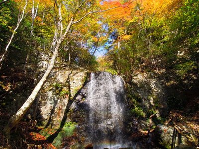 堰状の滝の紅葉(2013年11月中旬）。