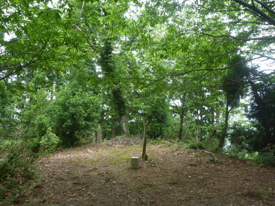 ブナノキ峠山頂