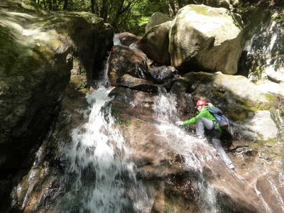 P1010718.jpg (113.88 KiB) 閲覧された回数 6988 回 楽しい滝登り