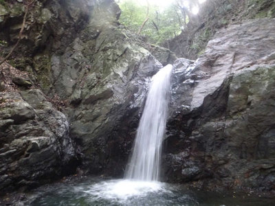 P1010677.jpg (89.97 KiB) 閲覧された回数 7360 回 大日滝