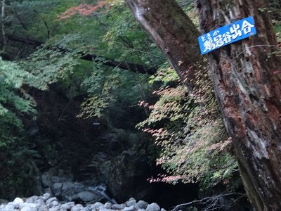 DSC03161.jpg (192.45 KiB) 閲覧された回数 236724 回 鶏冠谷出合