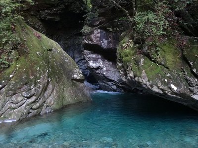 DSC03173.jpg (193.48 KiB) 閲覧された回数 237471 回 法螺の貝のゴルジュ