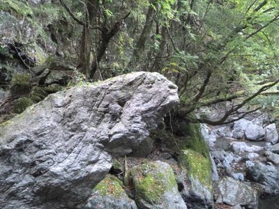 P1010760.jpg (121.74 KiB) 閲覧された回数 5619 回 何に見える?