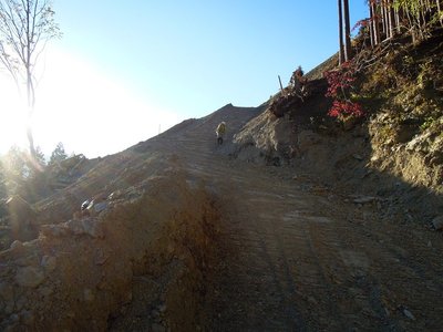 工事現場下流側の林道から、作業現場を見上げる。