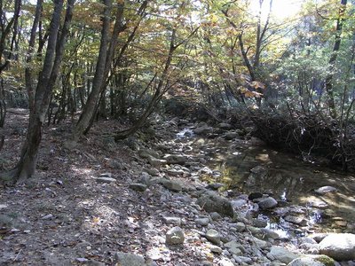 赤坂谷に着いた