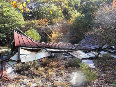 倒壊している造林小屋