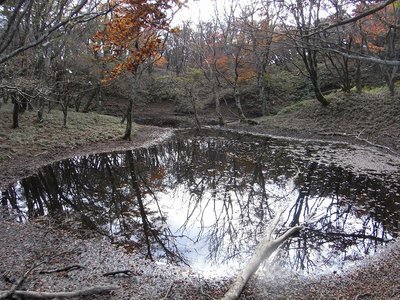 仙香池（めがね池）