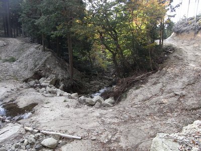 カシラコ谷のびっくり林道