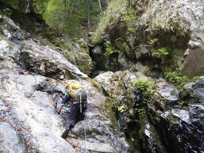 P1010919.jpg (152.24 KiB) 閲覧された回数 5812 回 結構厳しい巻き