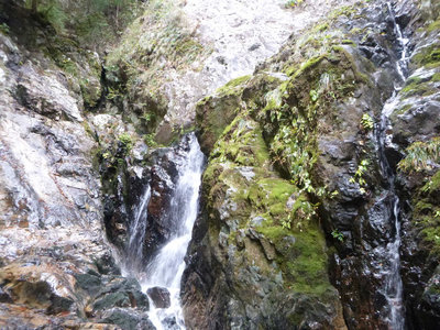 P1010916.jpg (161.91 KiB) 閲覧された回数 5809 回 3段40m滝下